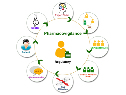 Pharmacovigilance Writing and Consulting Support