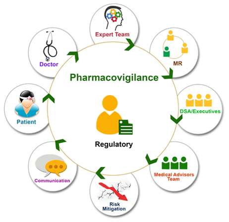 Pharmacovigilance Writing and Consulting Support