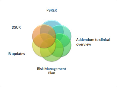 Periodic Benefit Risk Evaluation Report